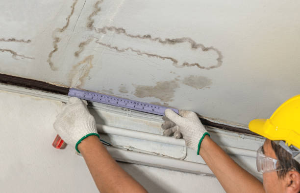Reliable Water Damage contractor in New Manchester, WV by Water Damage Irwin